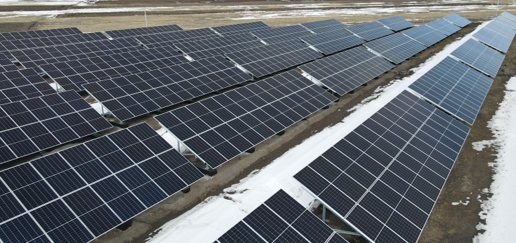 Going green in Armenia