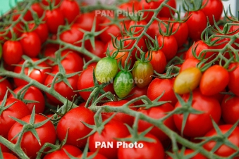 Armenia limits personal farm exports from July 10