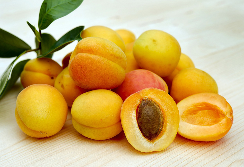 Armenia must diversify exports of apricots and other agricultural products - Pashinyan