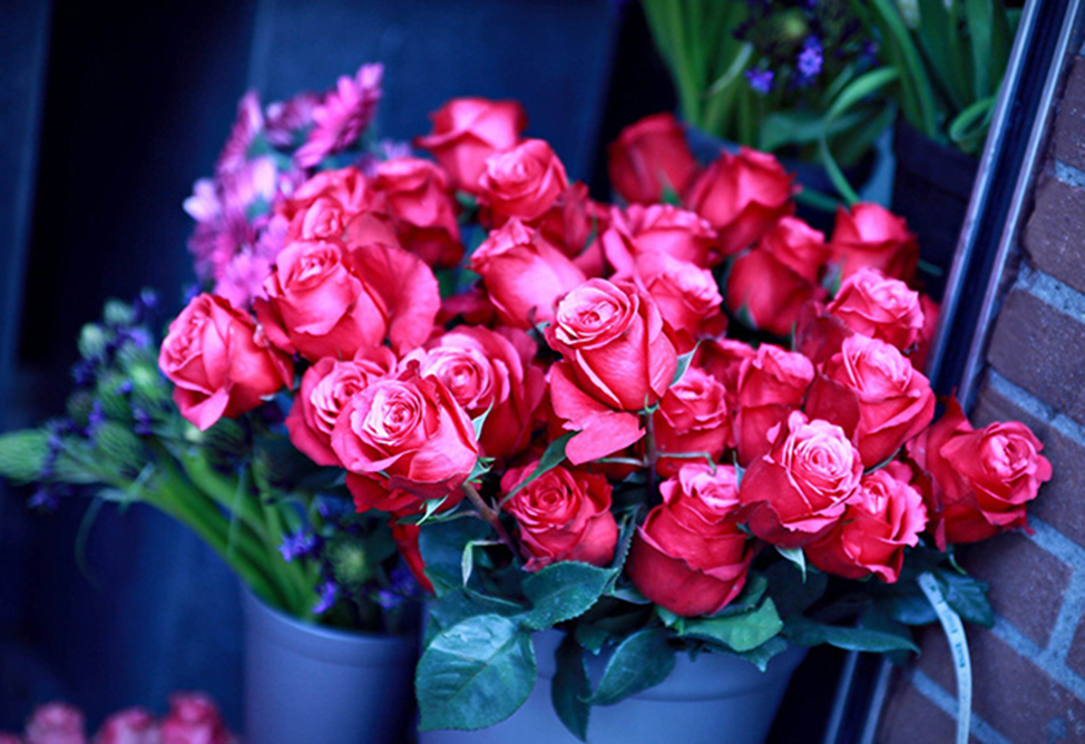 Armenian Economy Minister Discusses Export Issues with Greenhouse Rose Producers