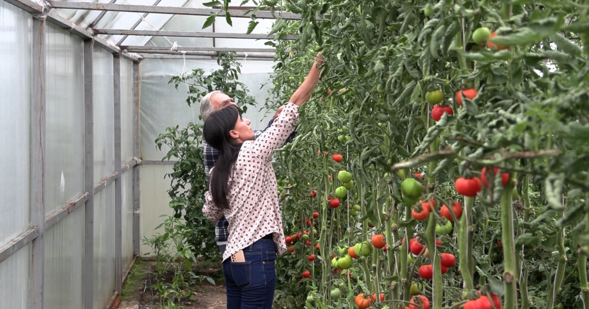 Armenian Agricultural Loans Restructured Due To Russian Sanctions